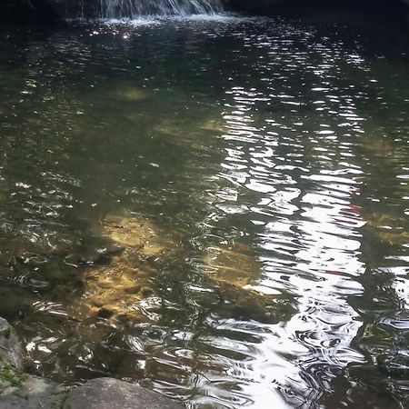 Carvalho De Muriqui Mangaratiba Bagian luar foto